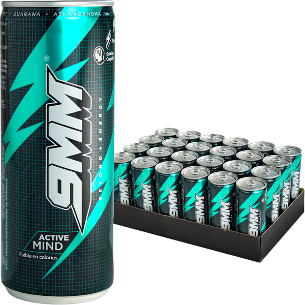 9MM ACTIVE MIND — PACK 24 CANNETTES